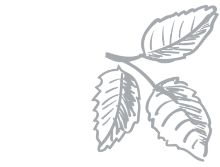 The Perfect Weekend Treat